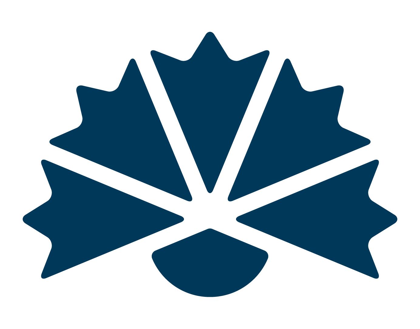 RUISKUKKA RUISKUKKA LOGO sininen 2 RGB